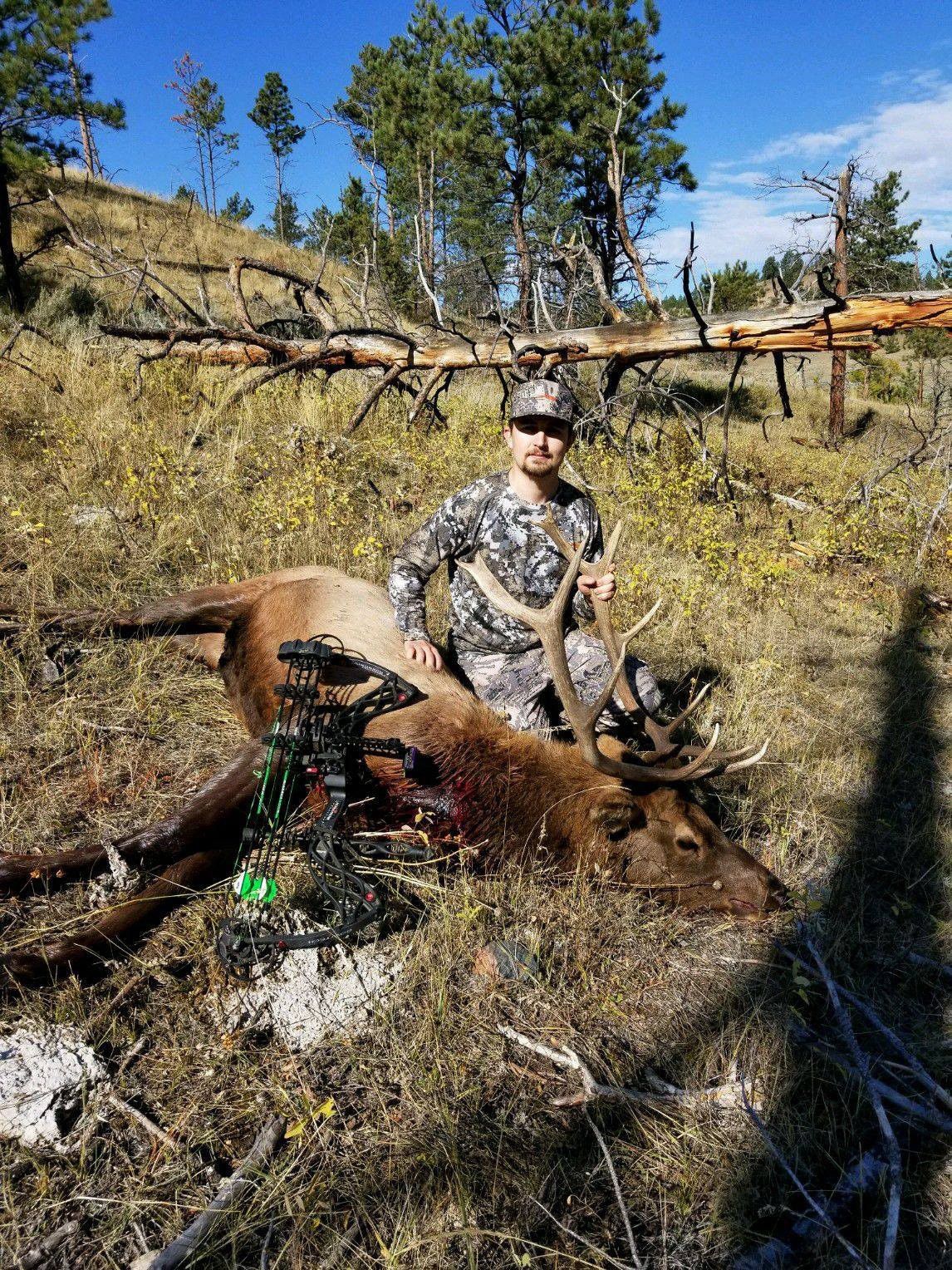 Hunting trophy